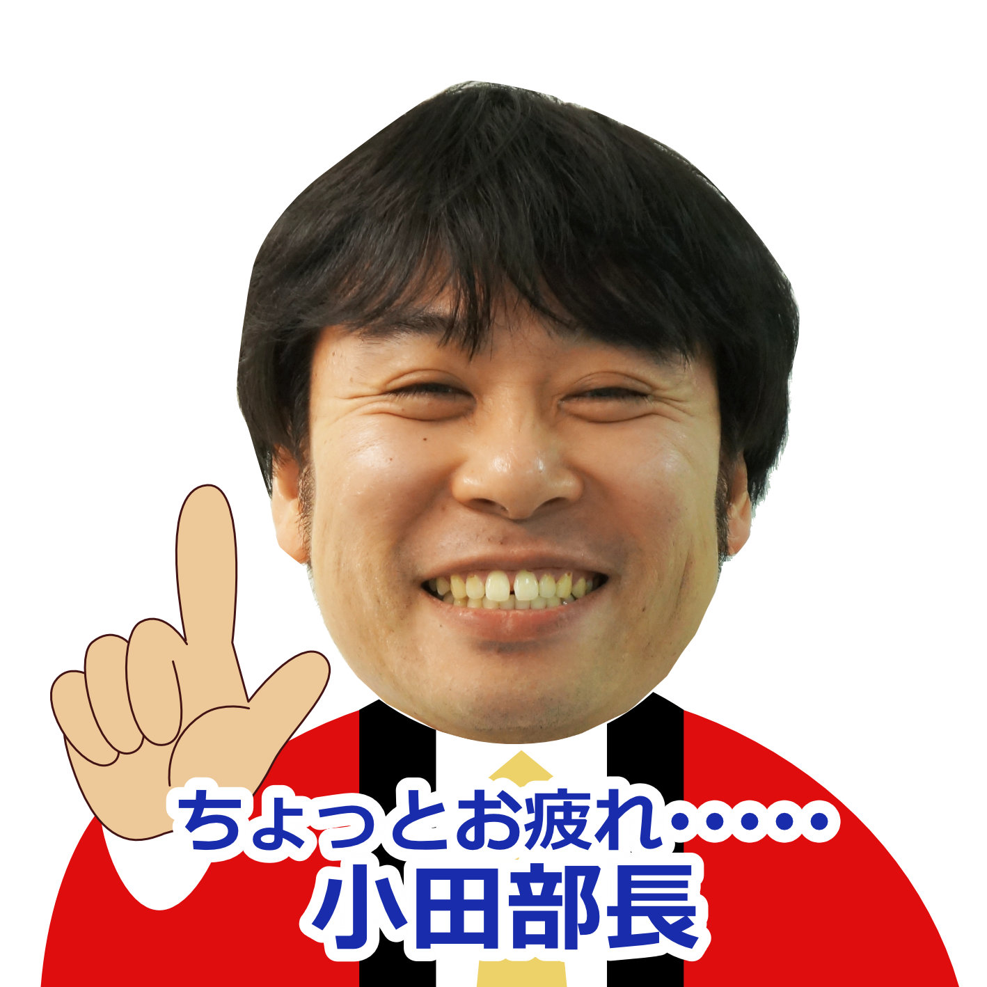 バイヤーおすすめ