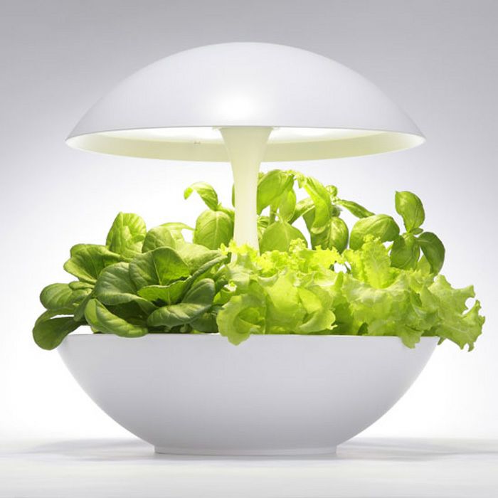 MotoM モトム LED水耕栽培器 灯菜 アカリーナ Akarina01RN OMA01RN2 白