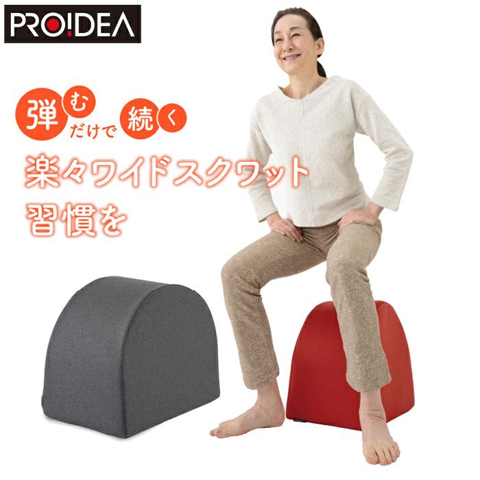 ドリーム プロイデア エクササイズクッション ワイドスクワット